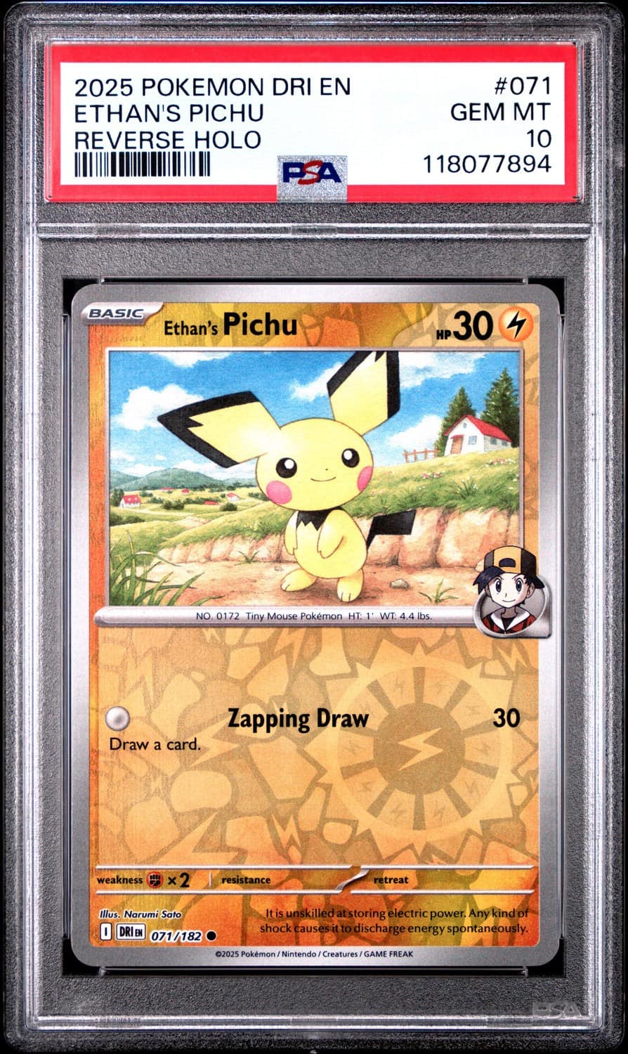 Ethan'S Pichu