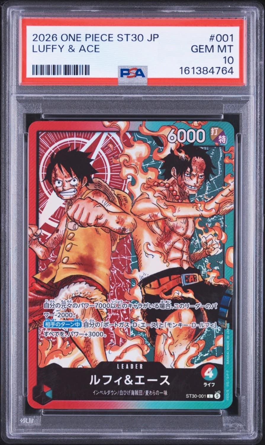 Luffy & Ace