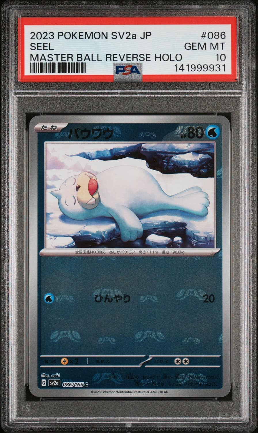Seel