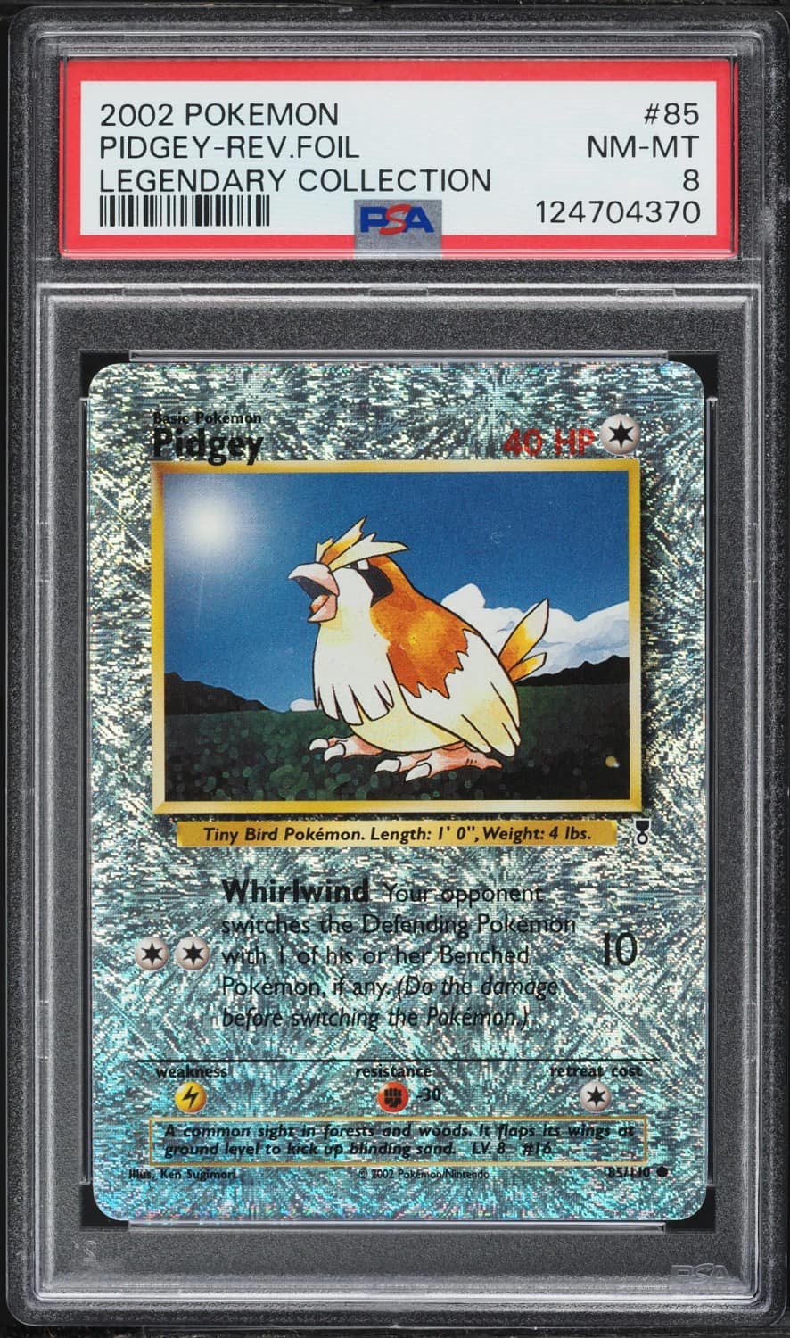 Pidgey