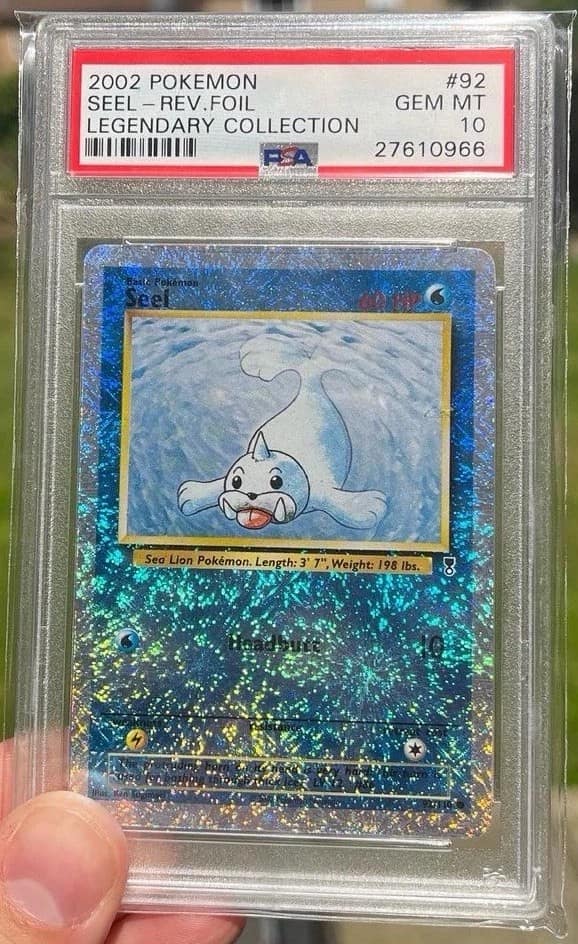 Seel