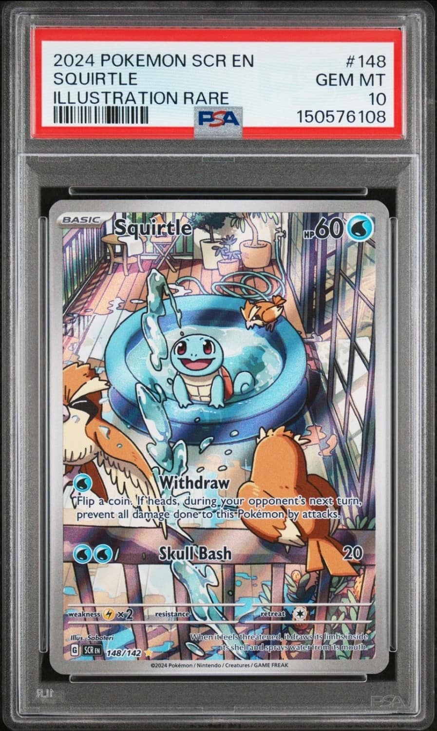 Squirtle