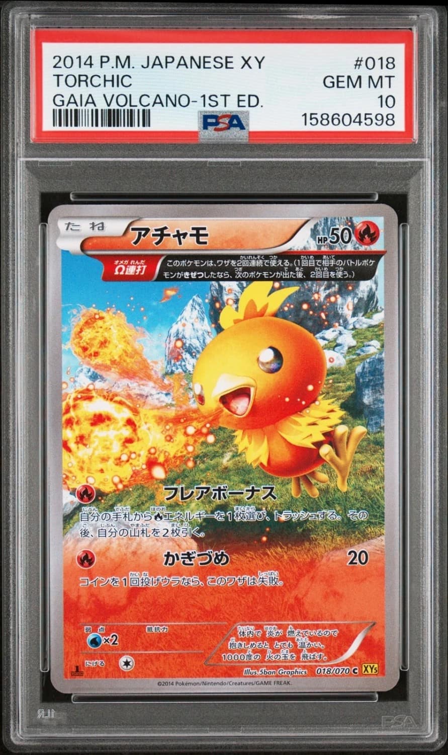 Torchic