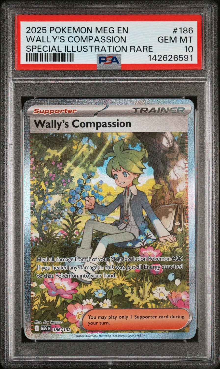 Wally'S Compassion