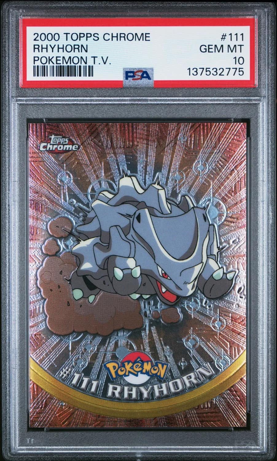 Rhyhorn