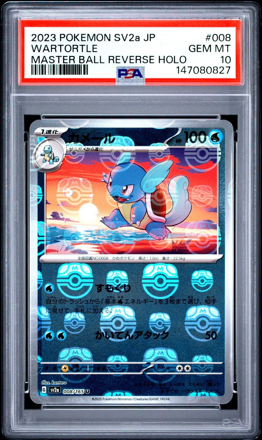 Wartortle
