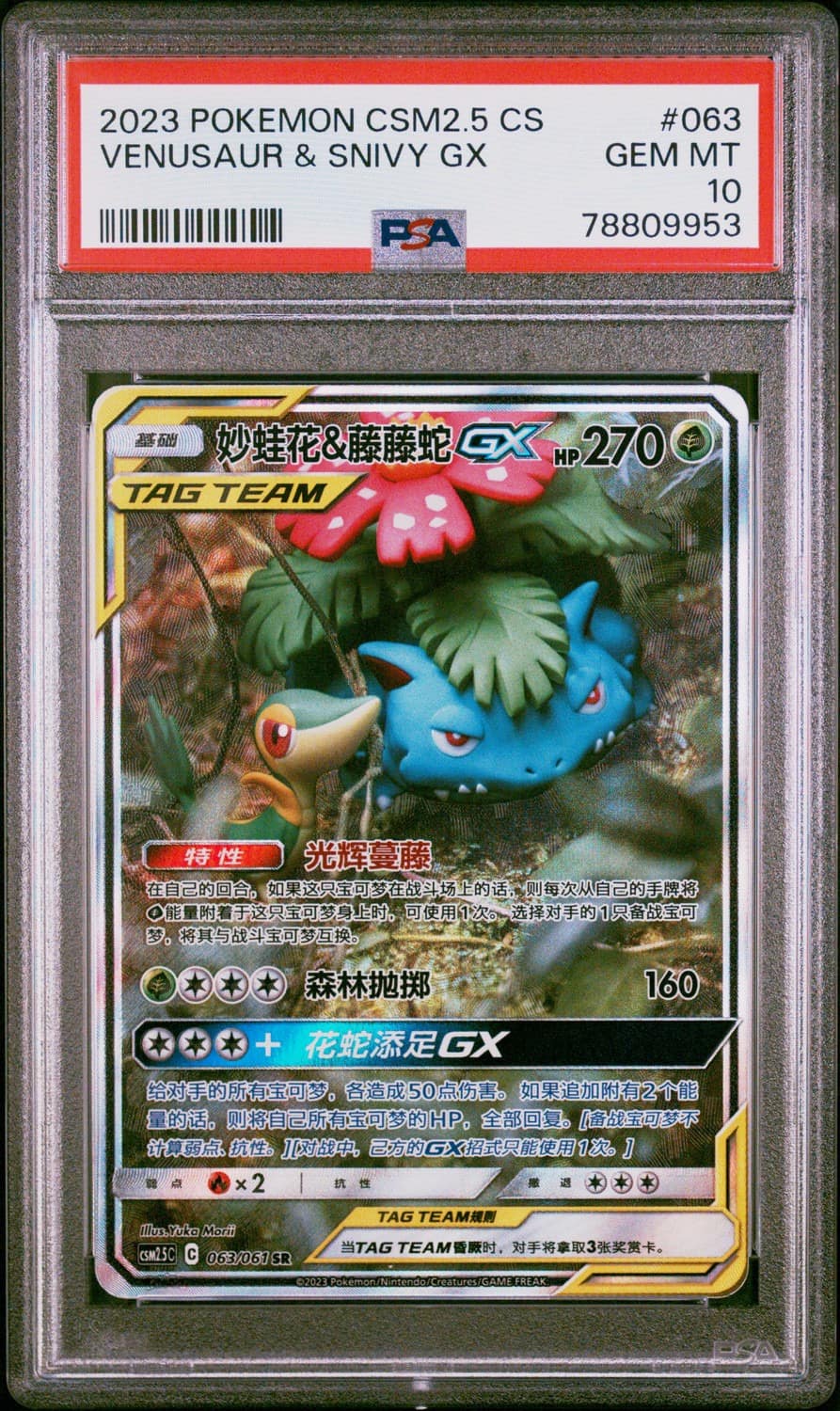 Venusaur & Snivy Gx