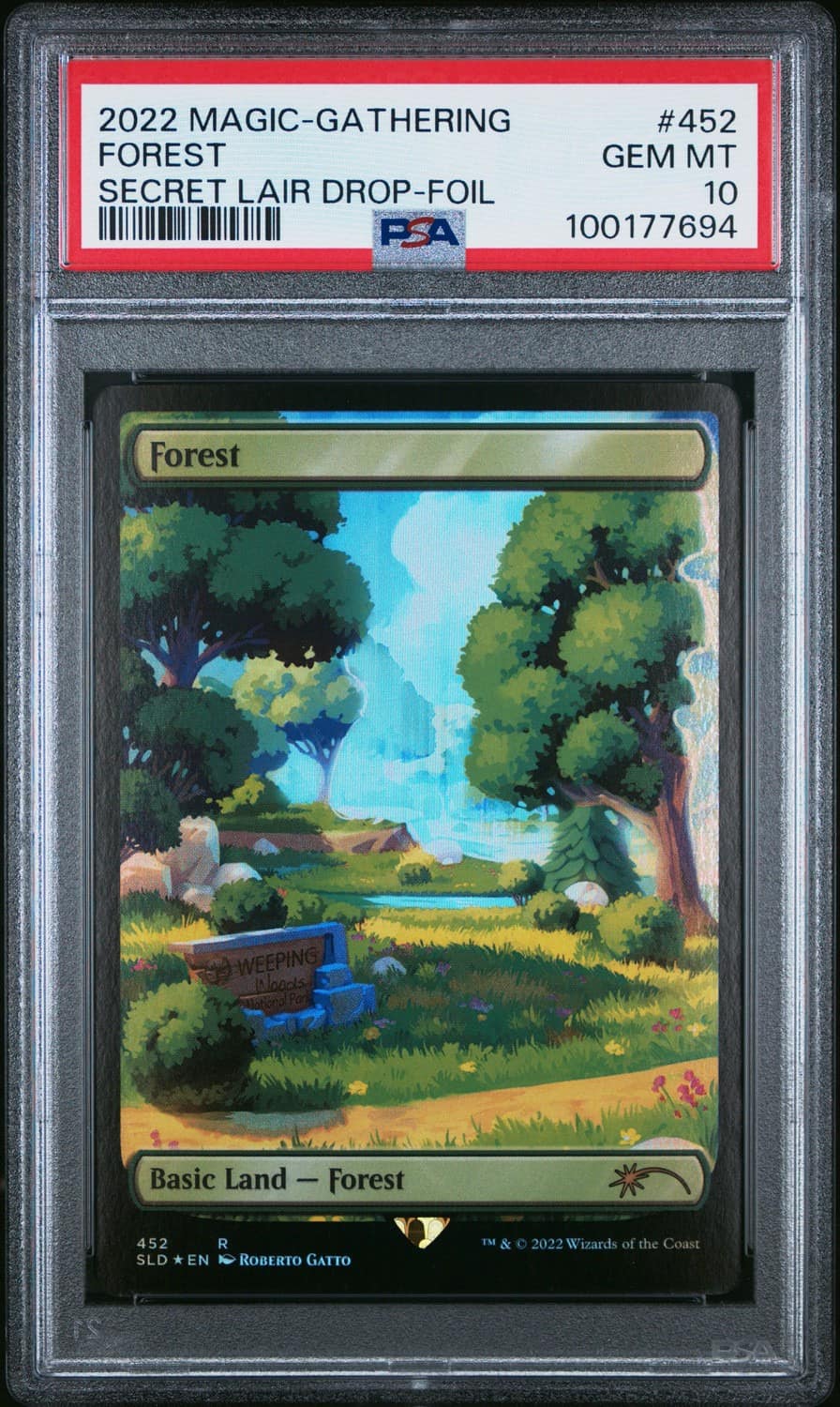 Forest