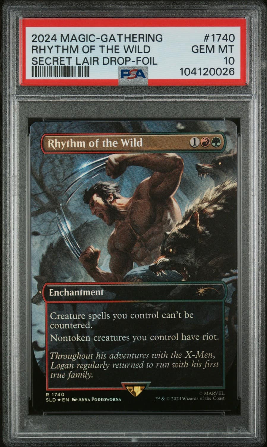 Rhythm Of The Wild