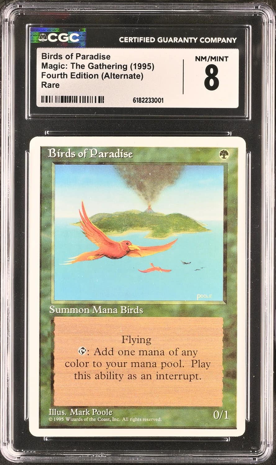 Birds Of Paradise