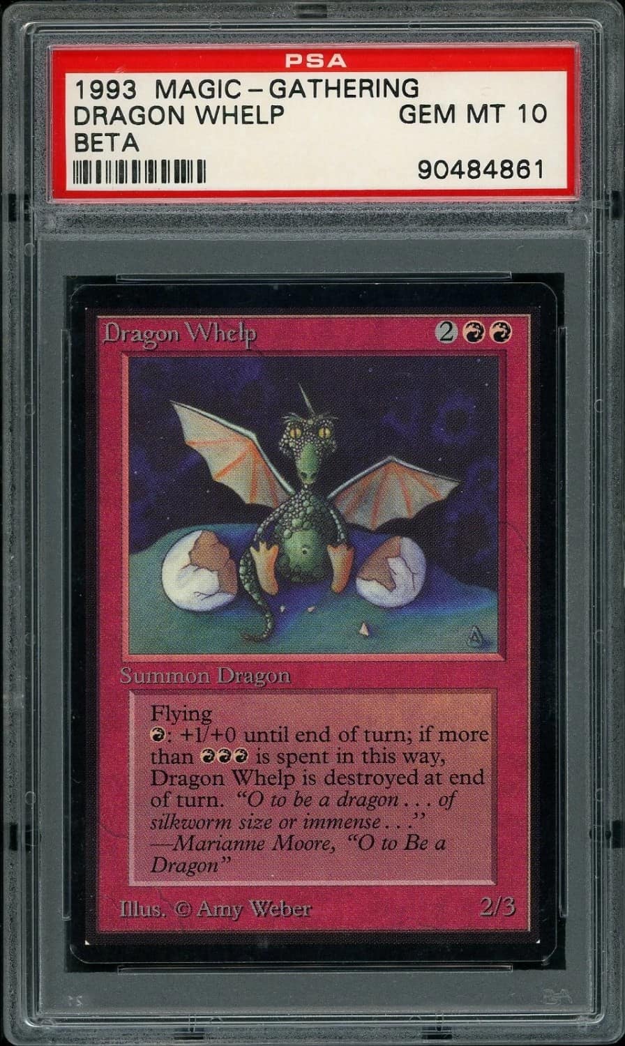 Dragon Whelp