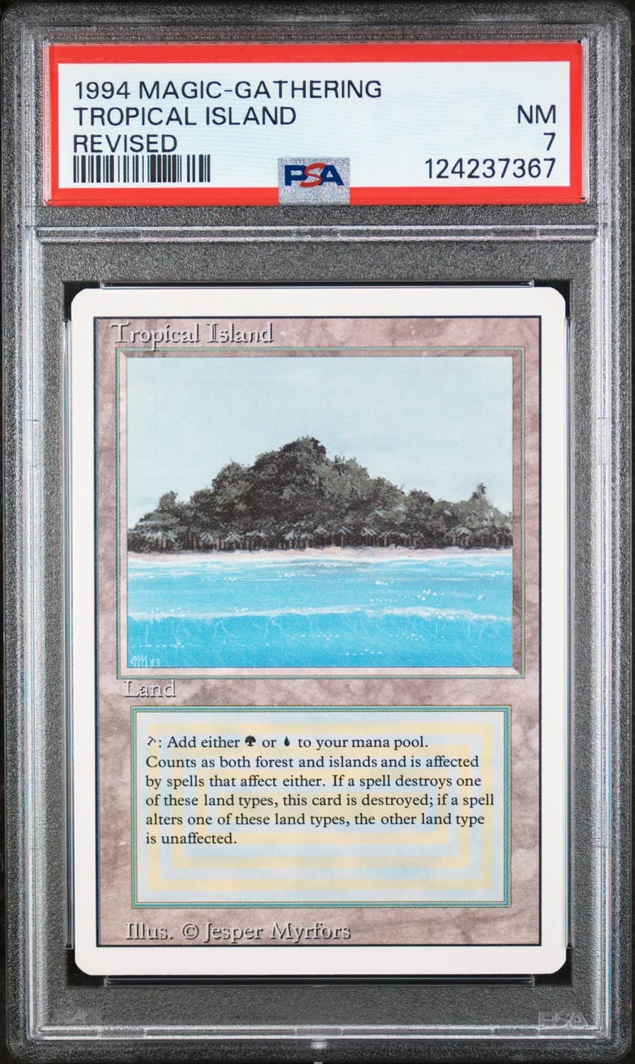 Tropical Island