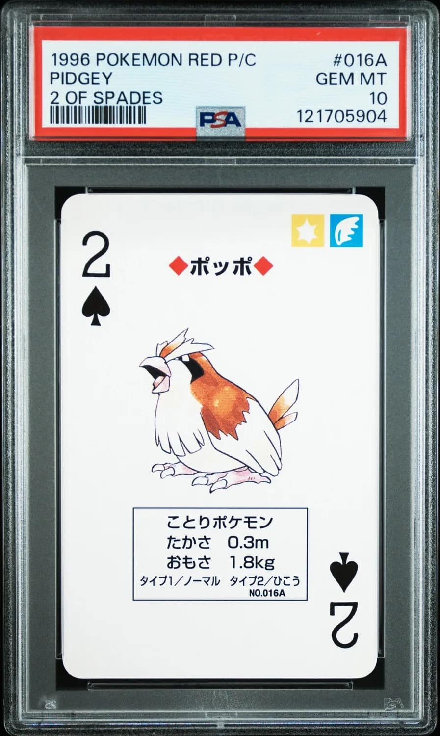 Pidgey