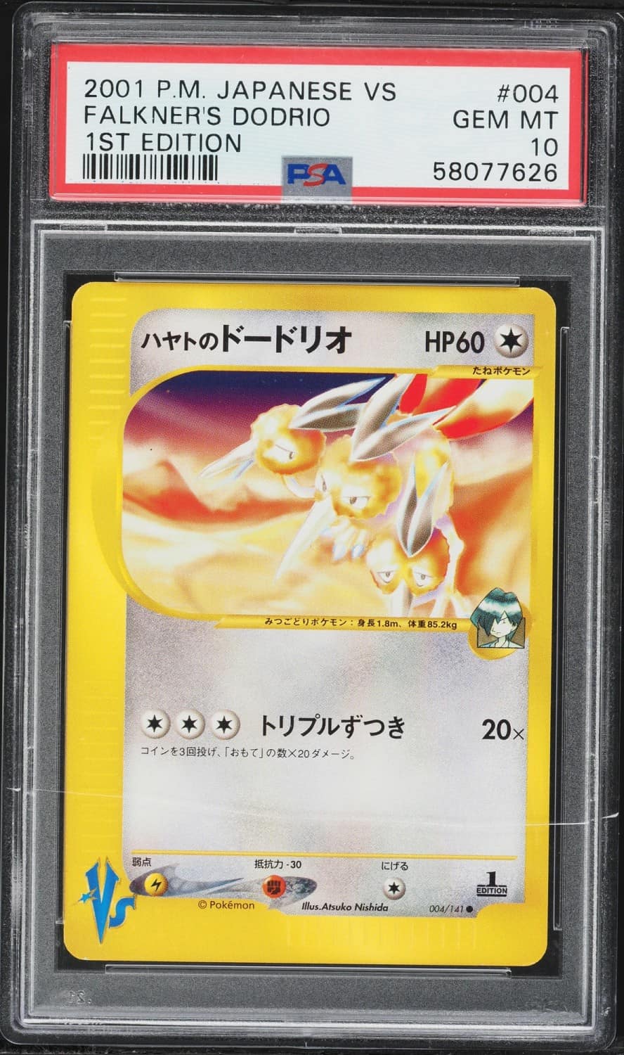 Falkner'S Dodrio