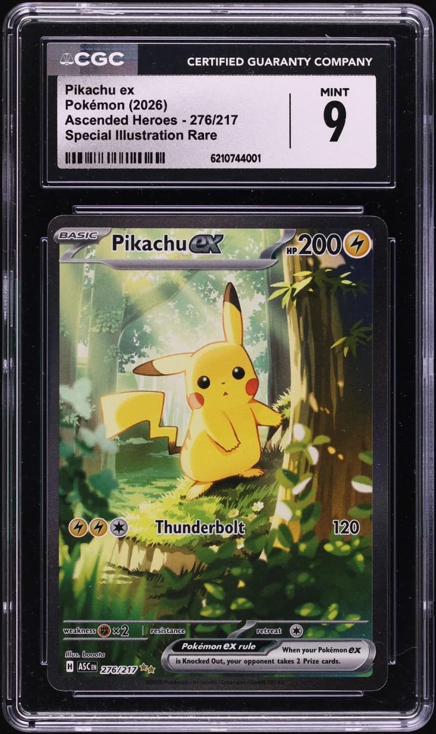 Pikachu Ex
