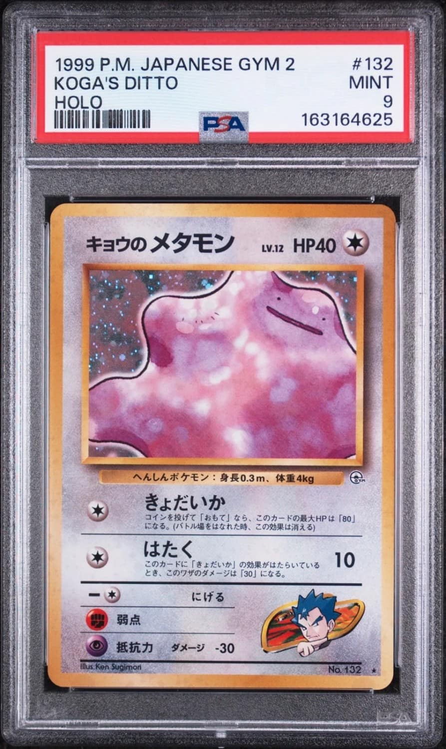 Koga'S Ditto