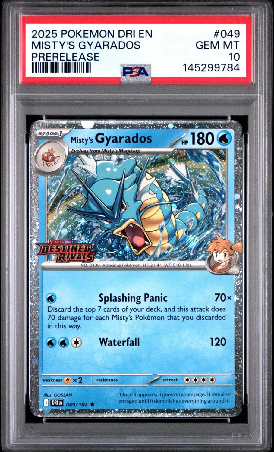 Misty'S Gyarados