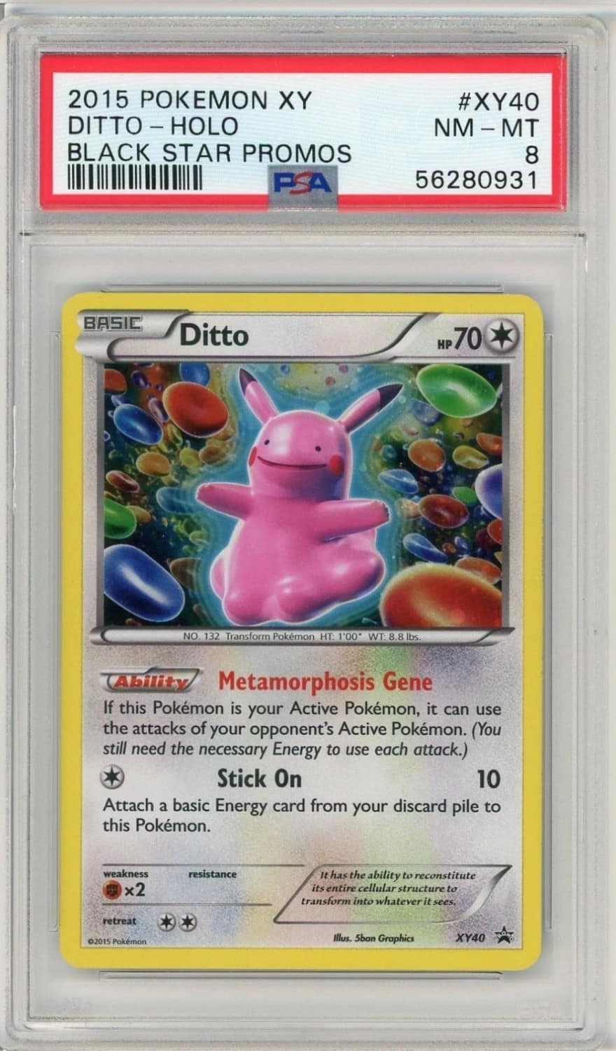 Ditto