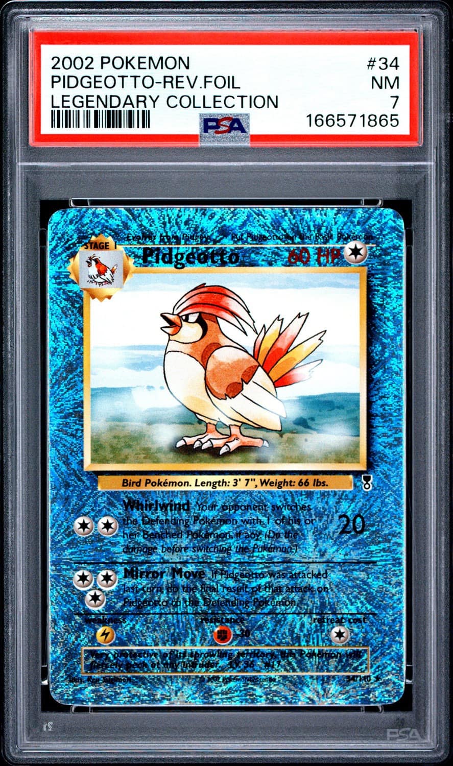 Pidgeotto