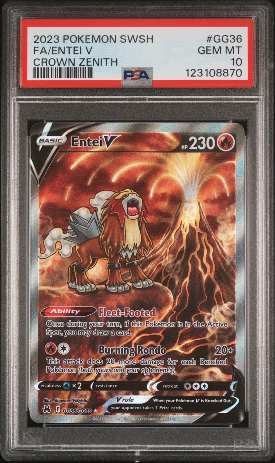Entei V