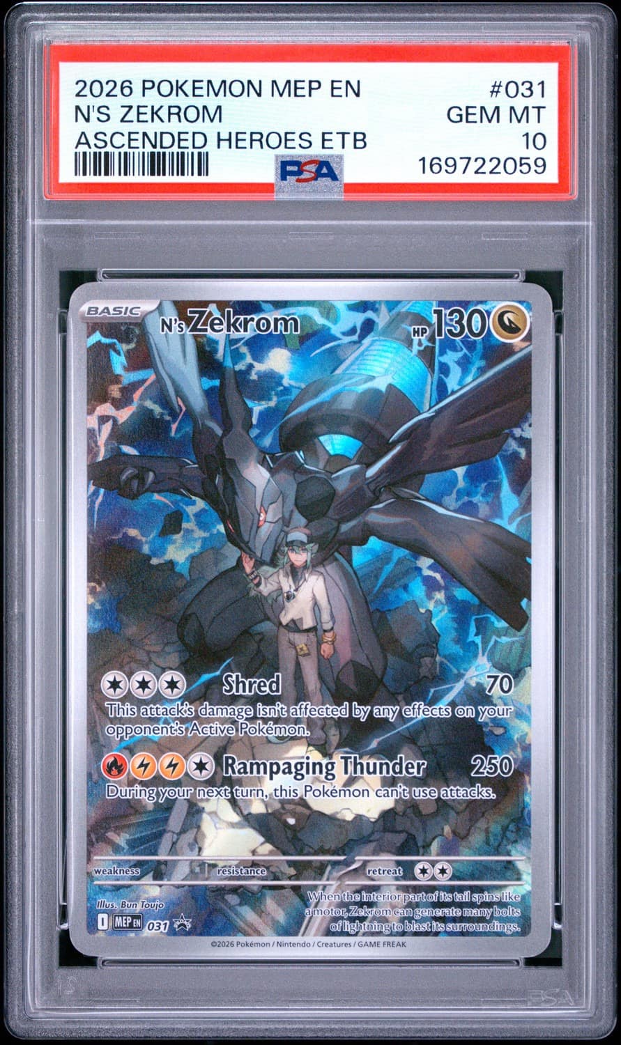 N'S Zekrom