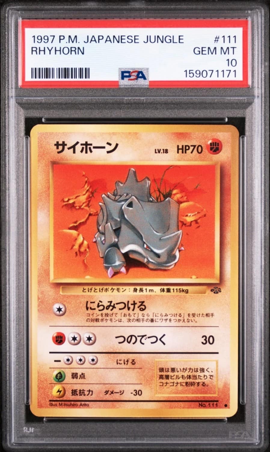 Rhyhorn