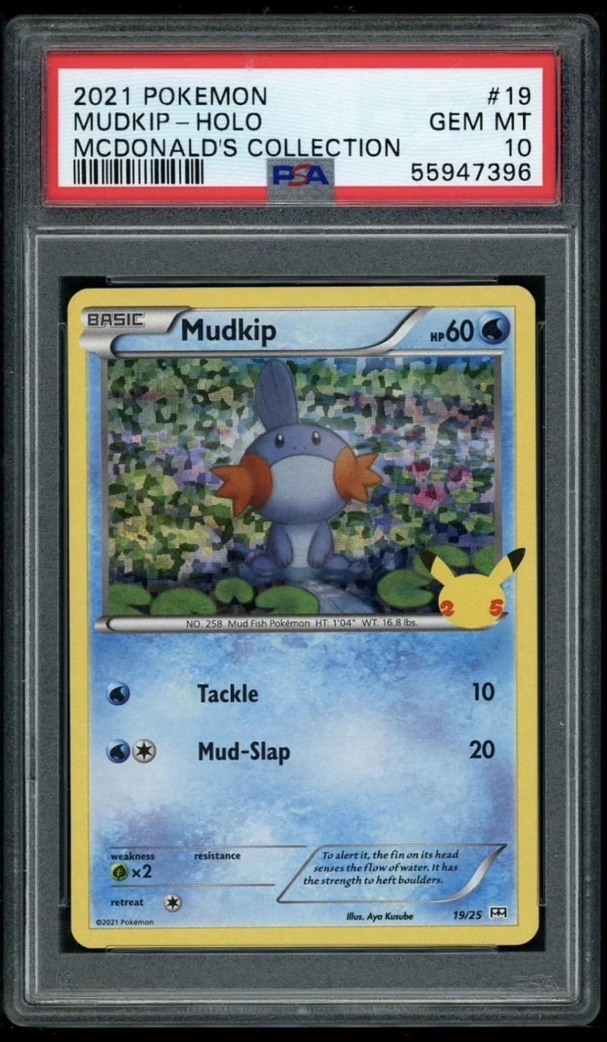 Mudkip