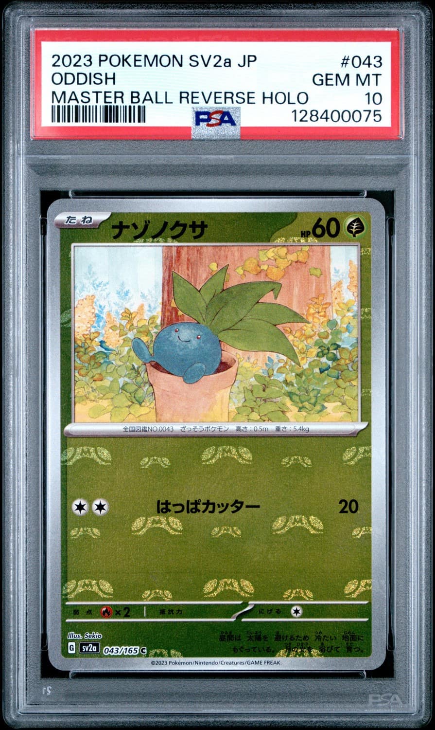 Oddish