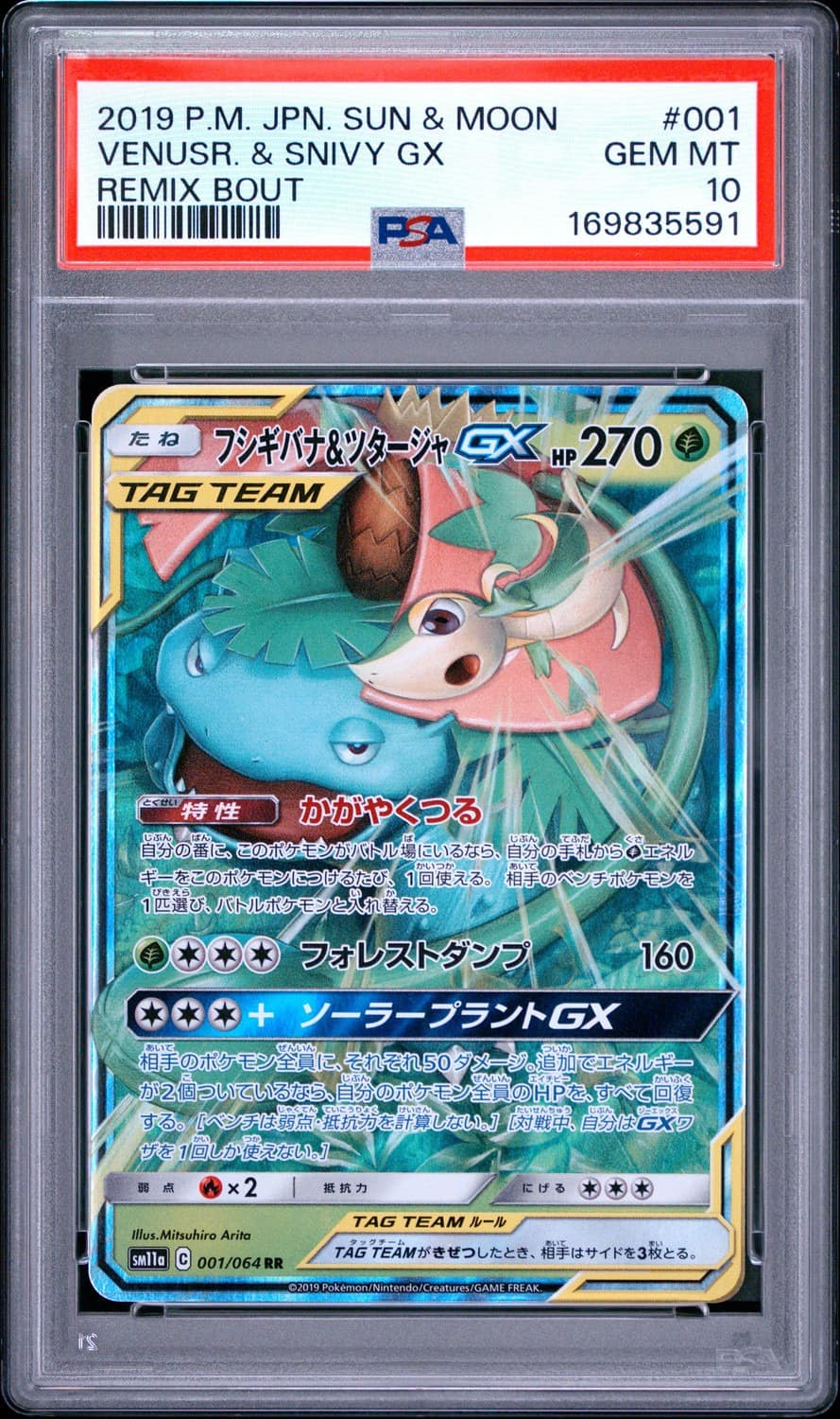 Venusaur & Snivy Gx