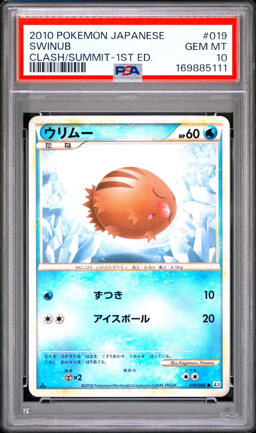 Swinub