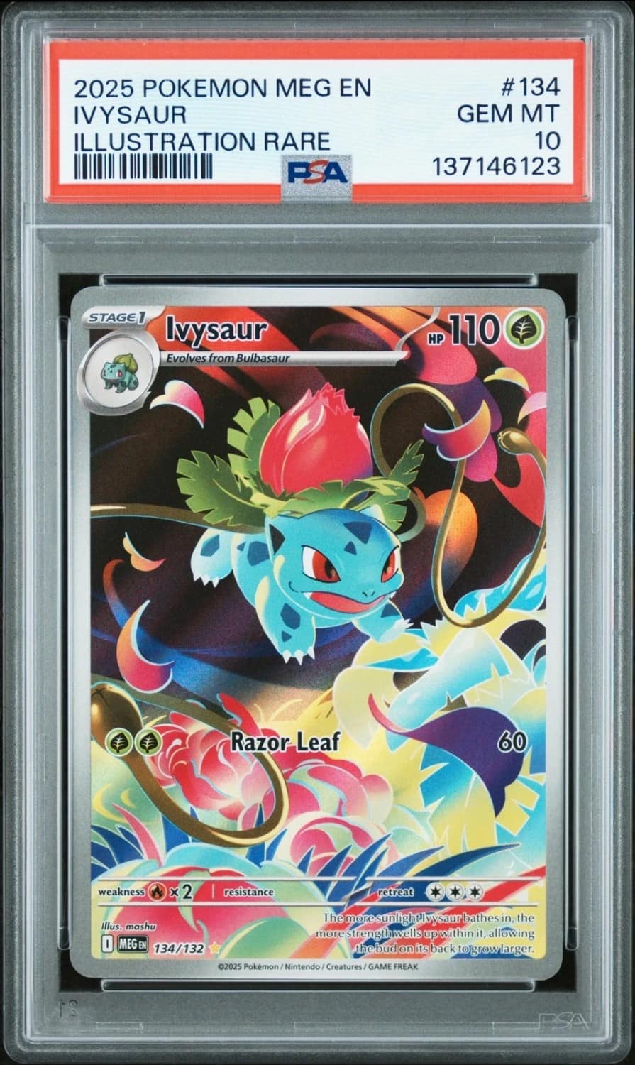Ivysaur