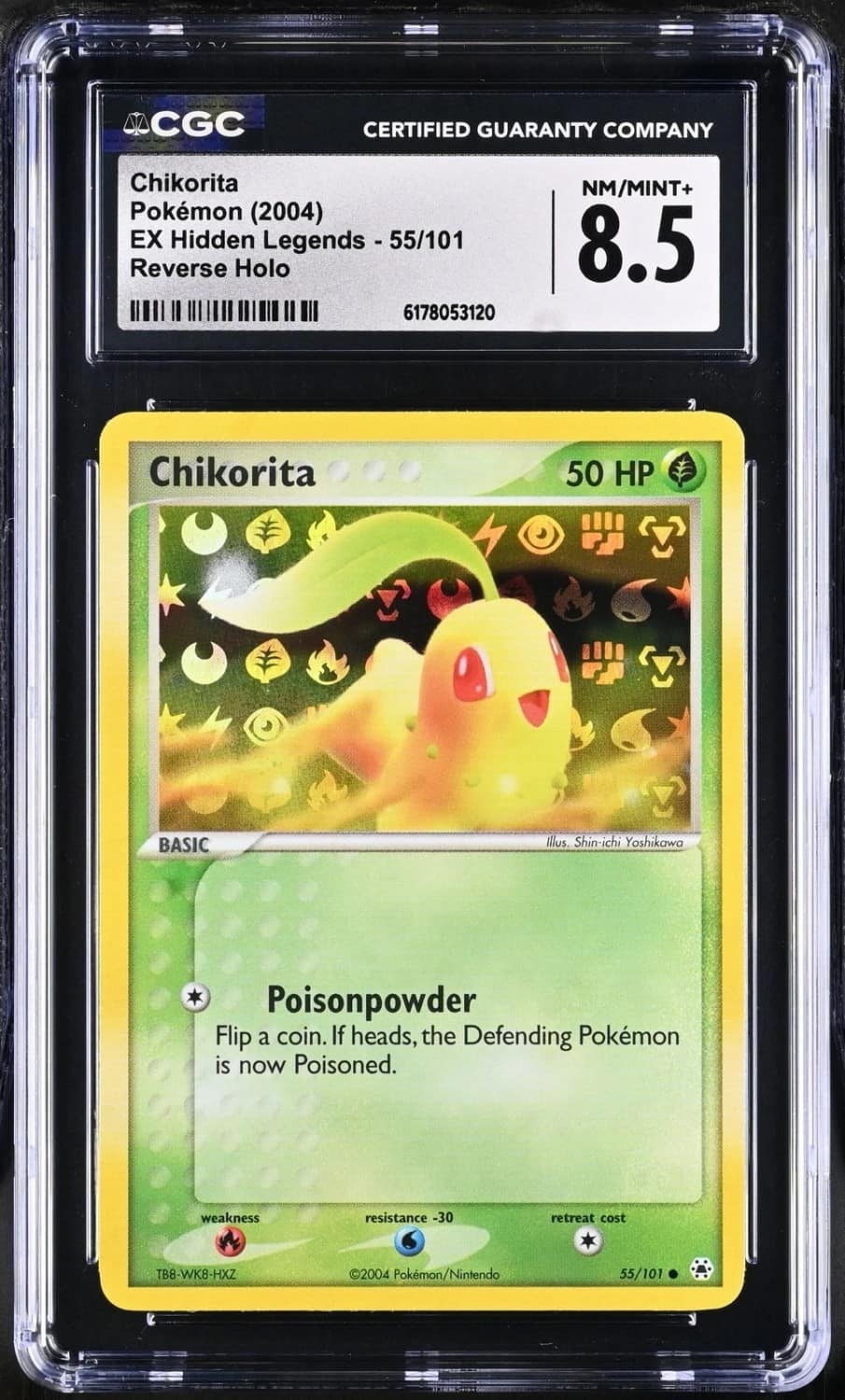 Chikorita