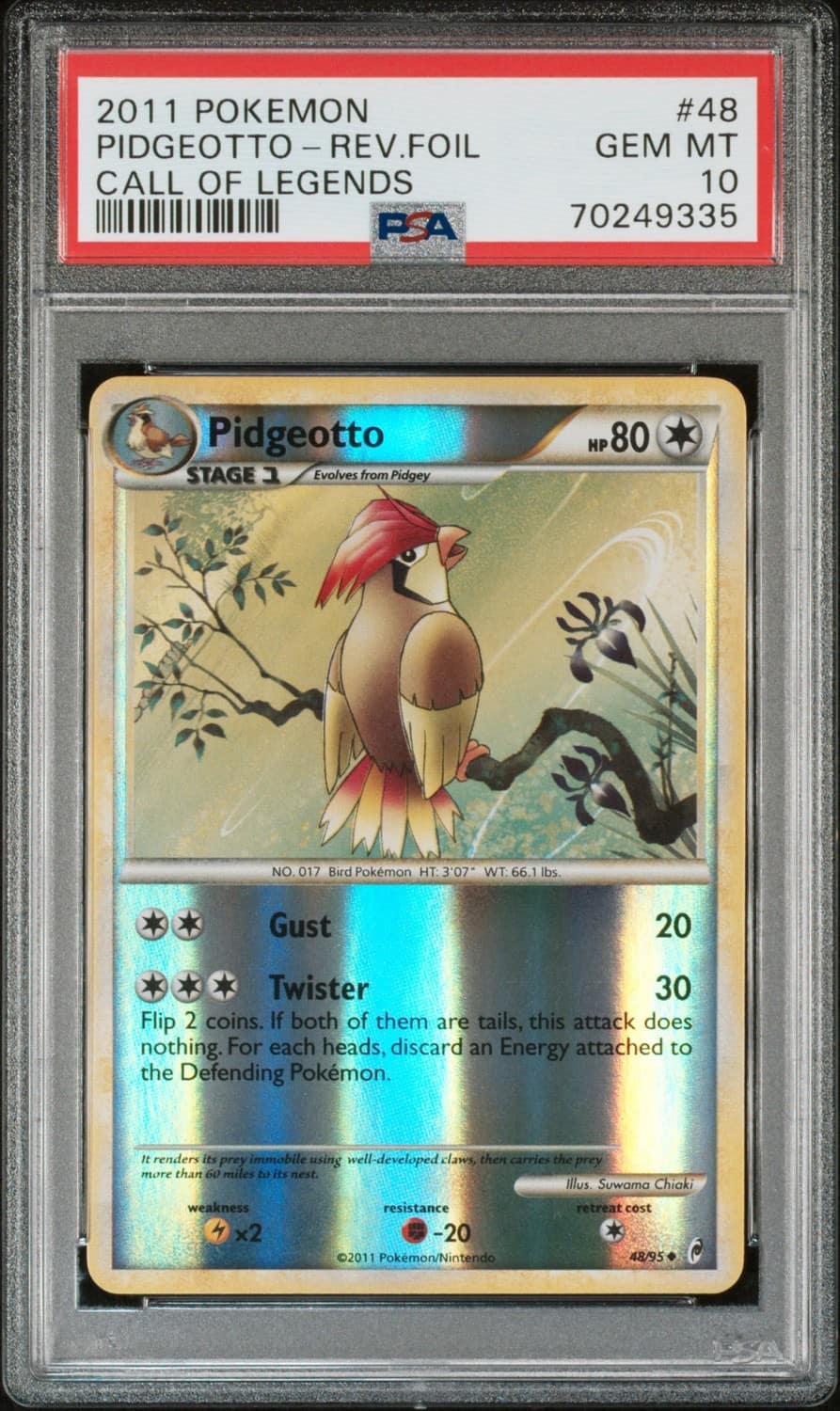 Pidgeotto