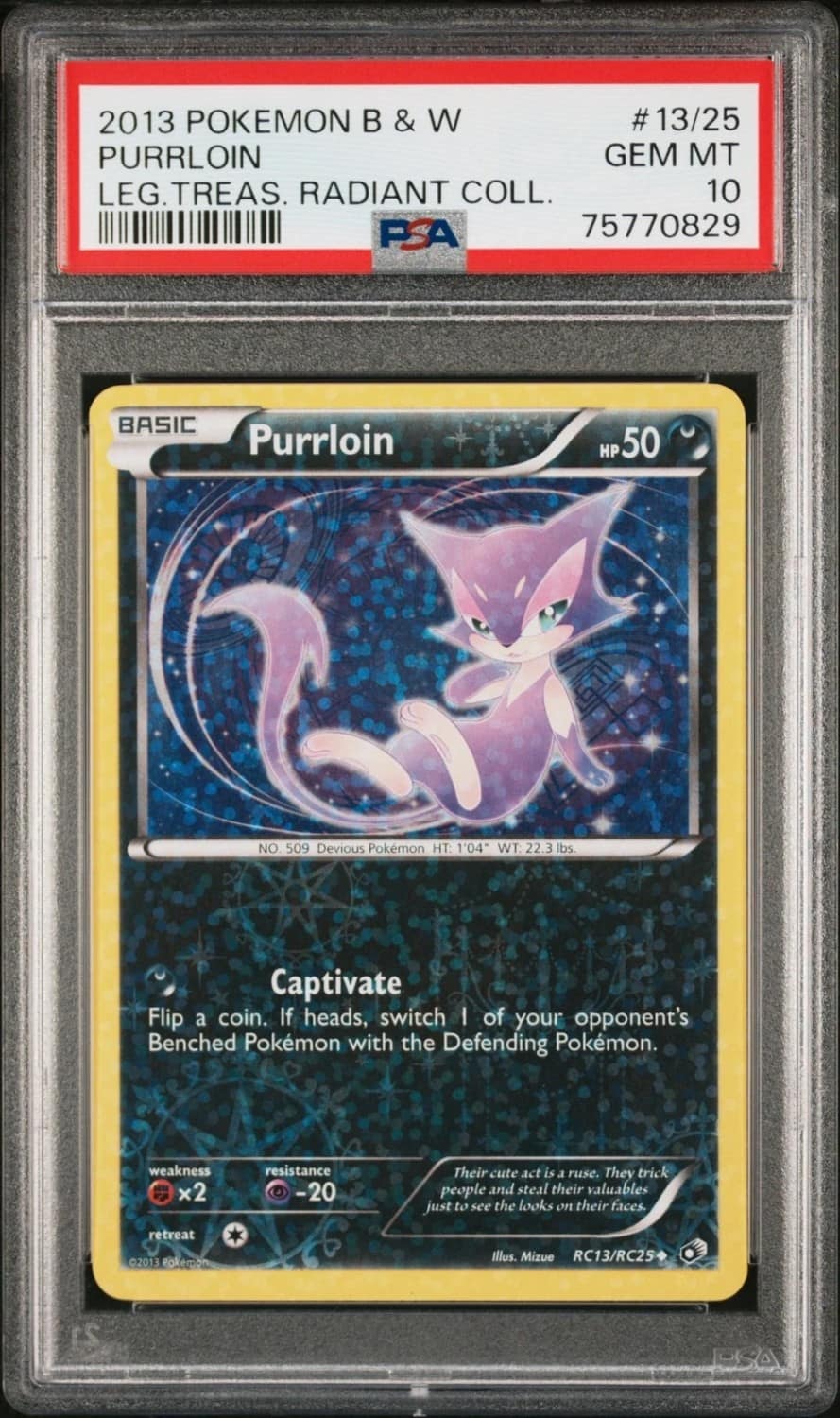Purrloin
