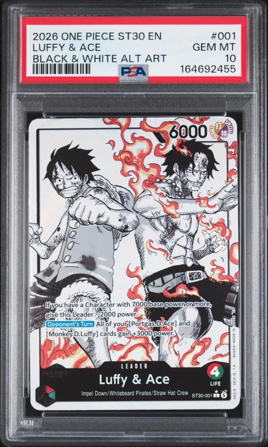 Luffy & Ace