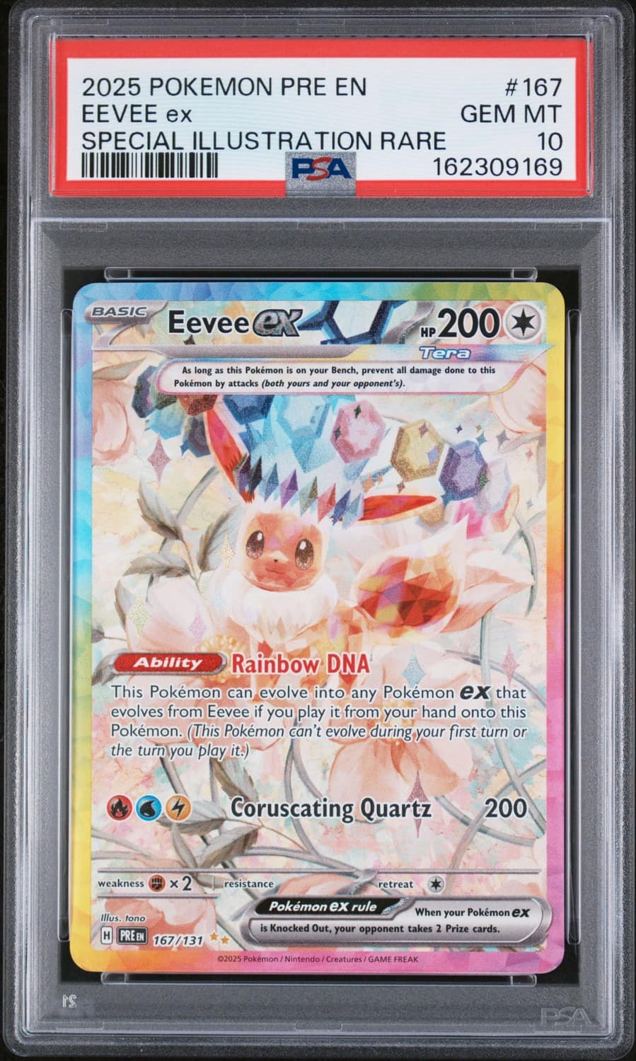 Eevee Ex