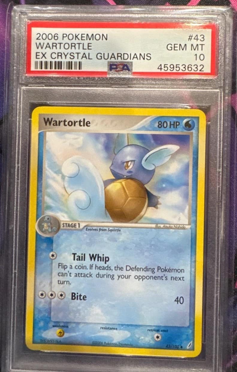 Wartortle
