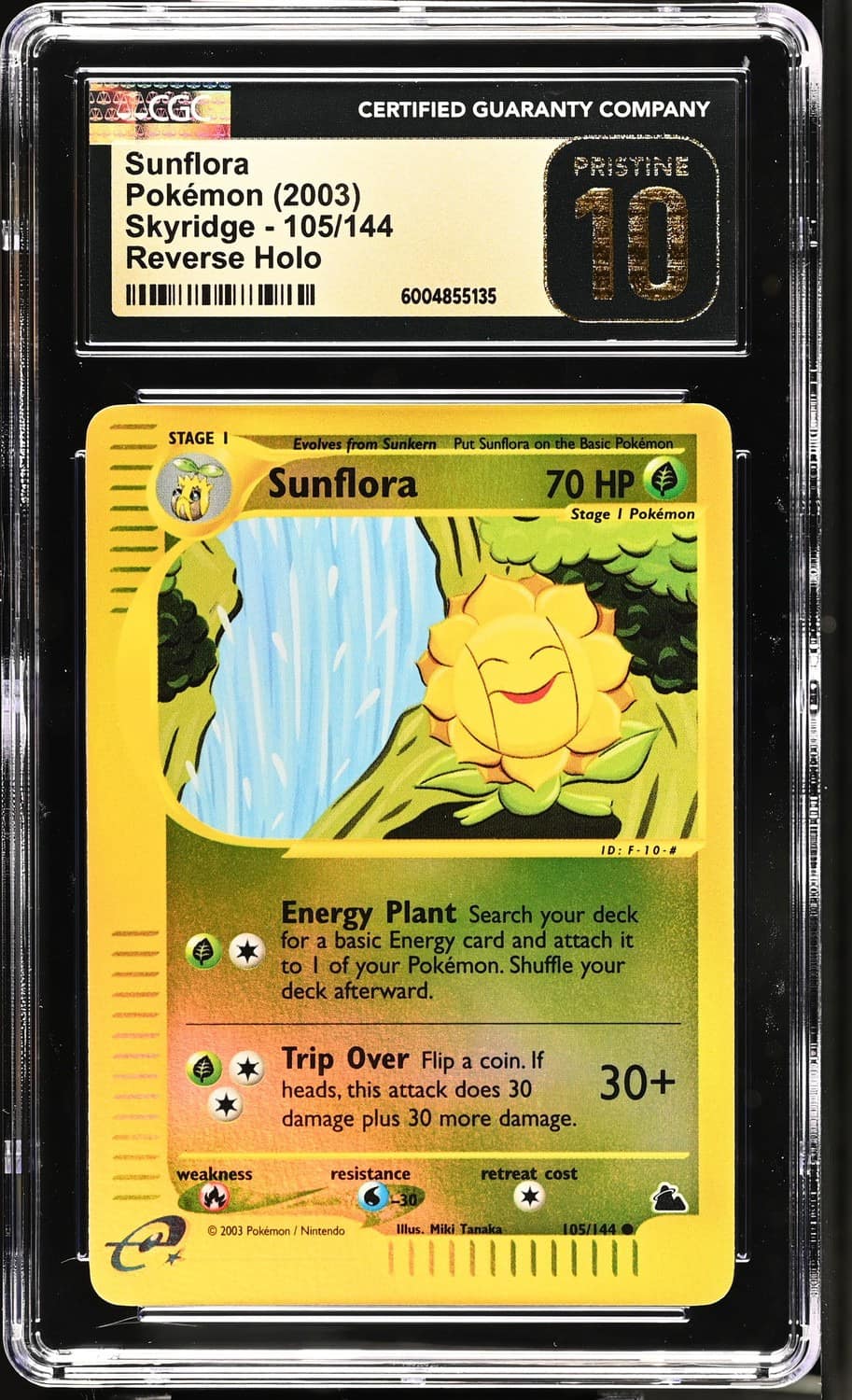 Sunflora