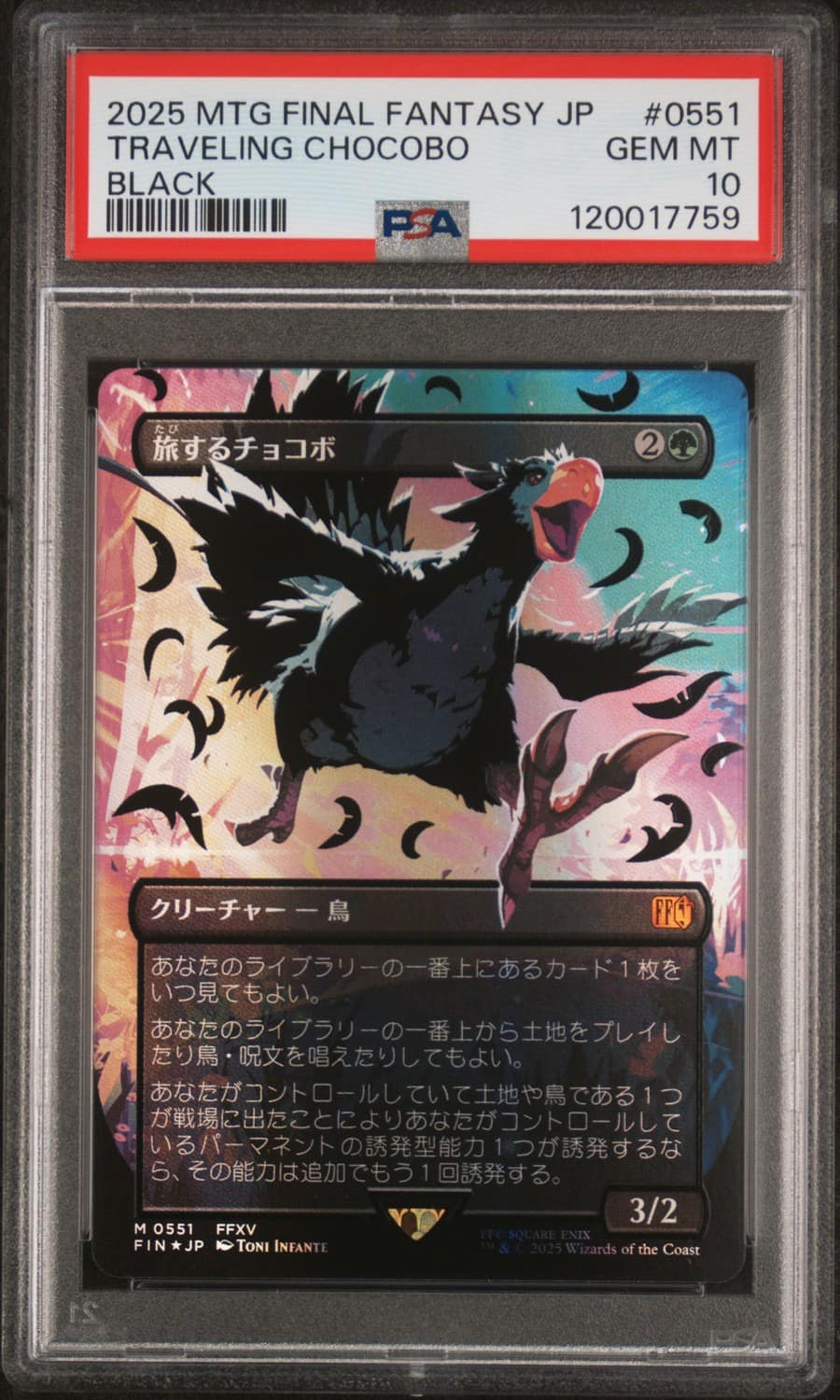 Traveling Chocobo