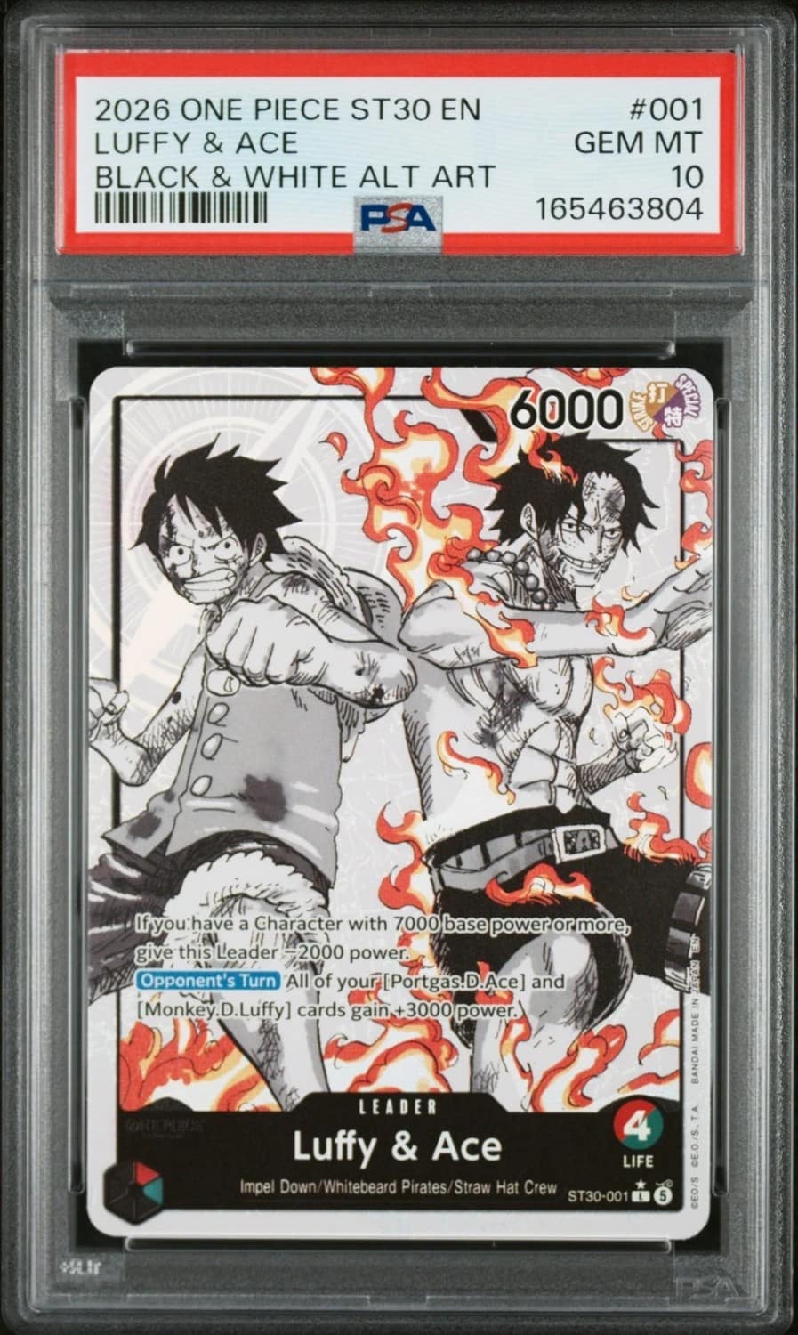 Luffy & Ace