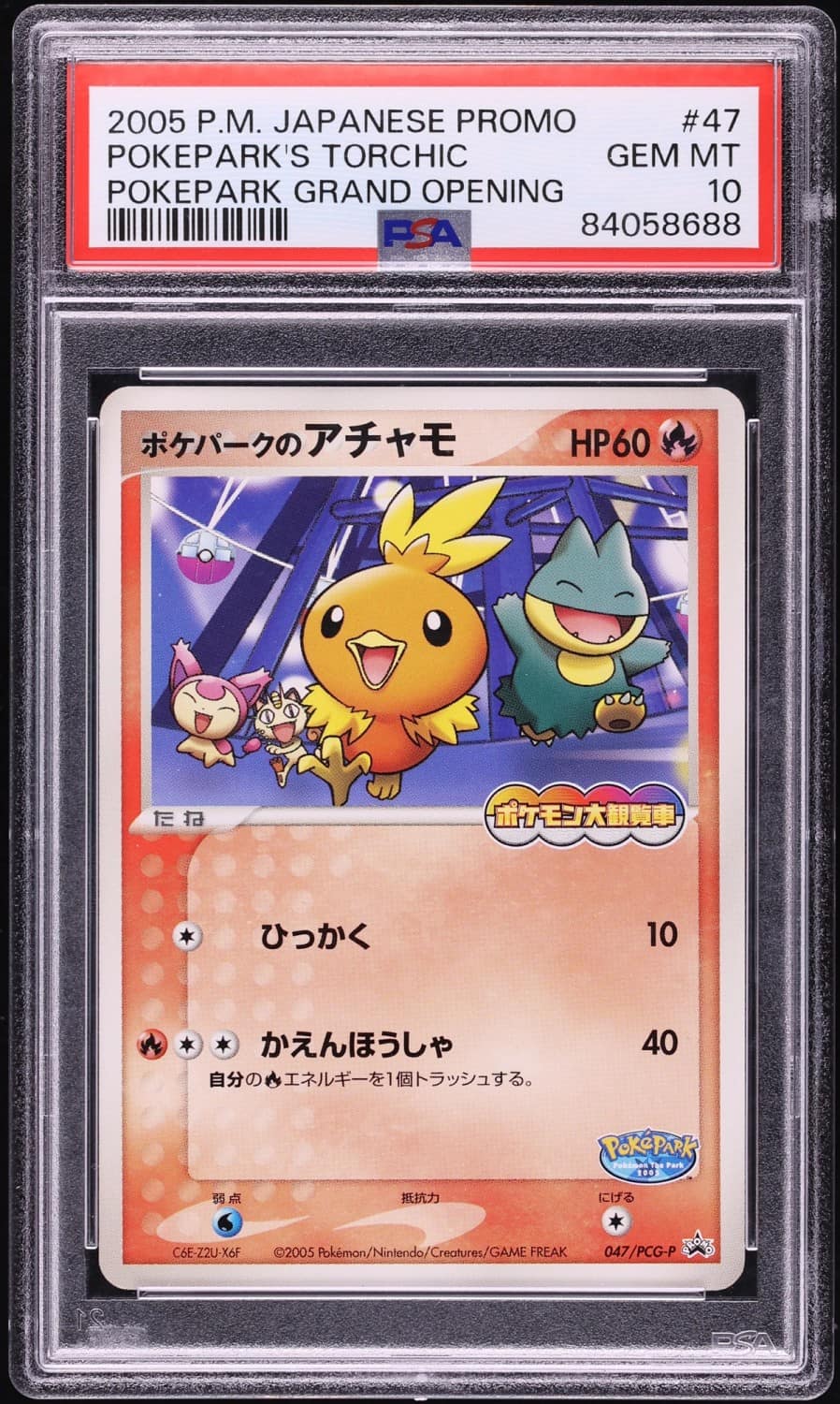 Pokepark'S Torchic