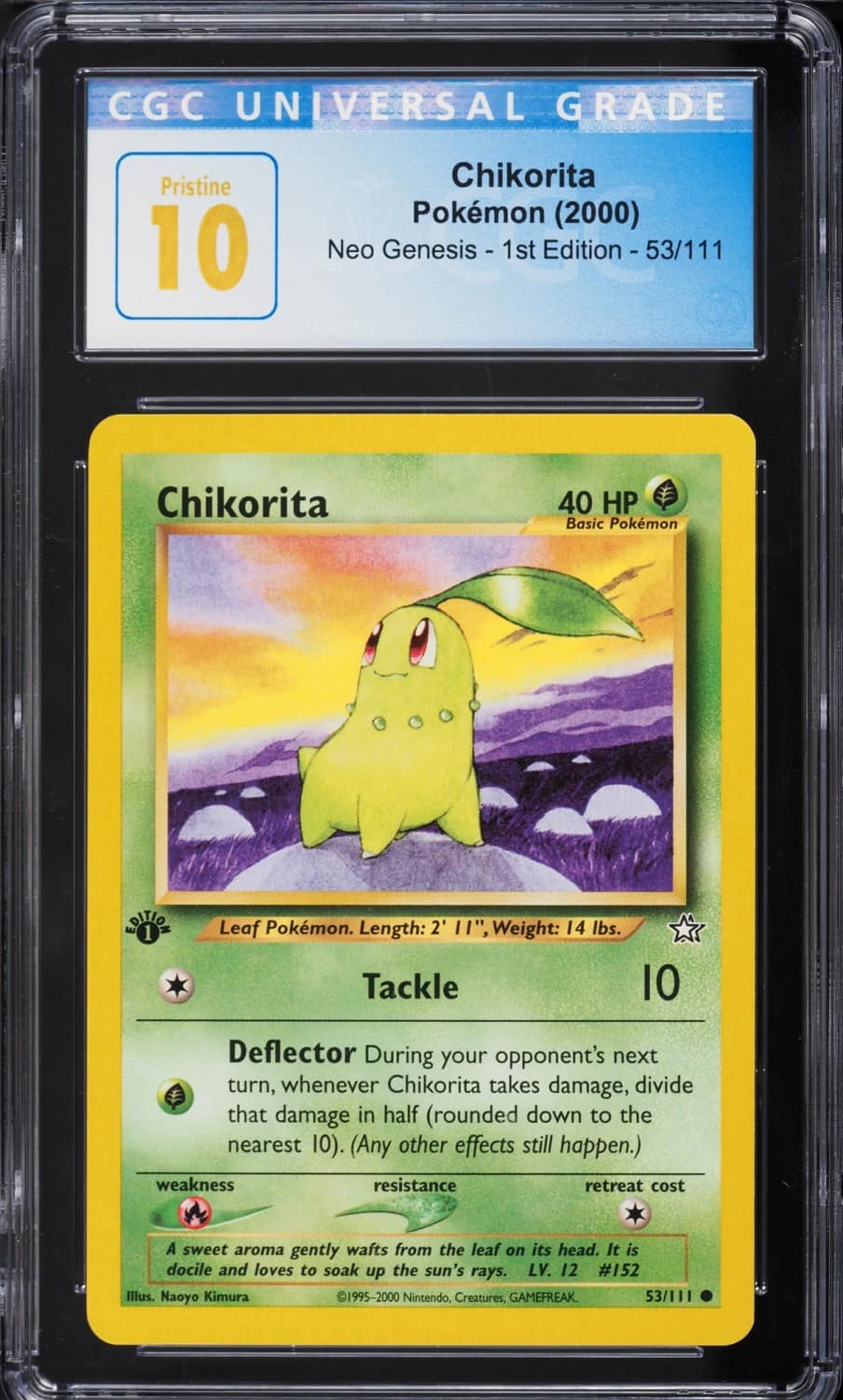 Chikorita