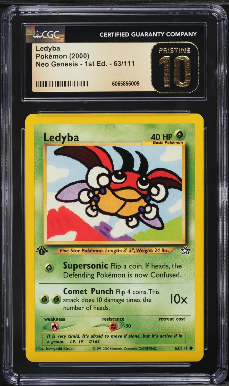 Ledyba