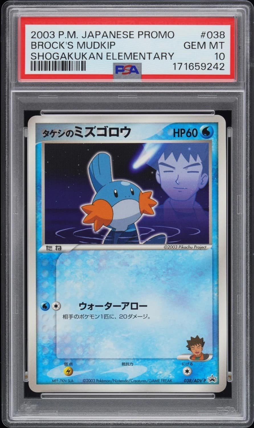Brock'S Mudkip