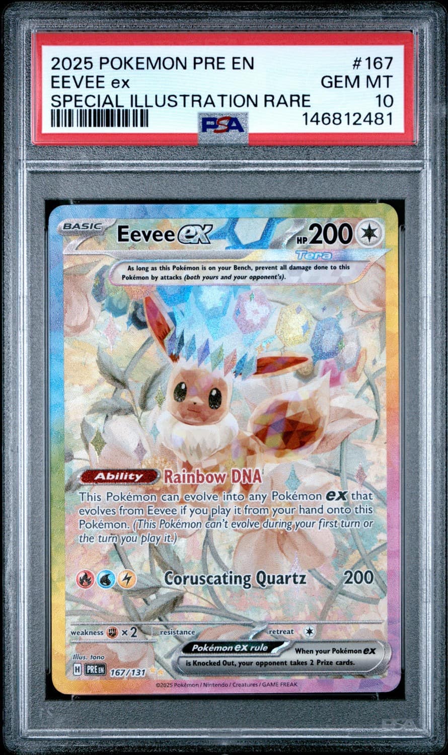 Eevee Ex