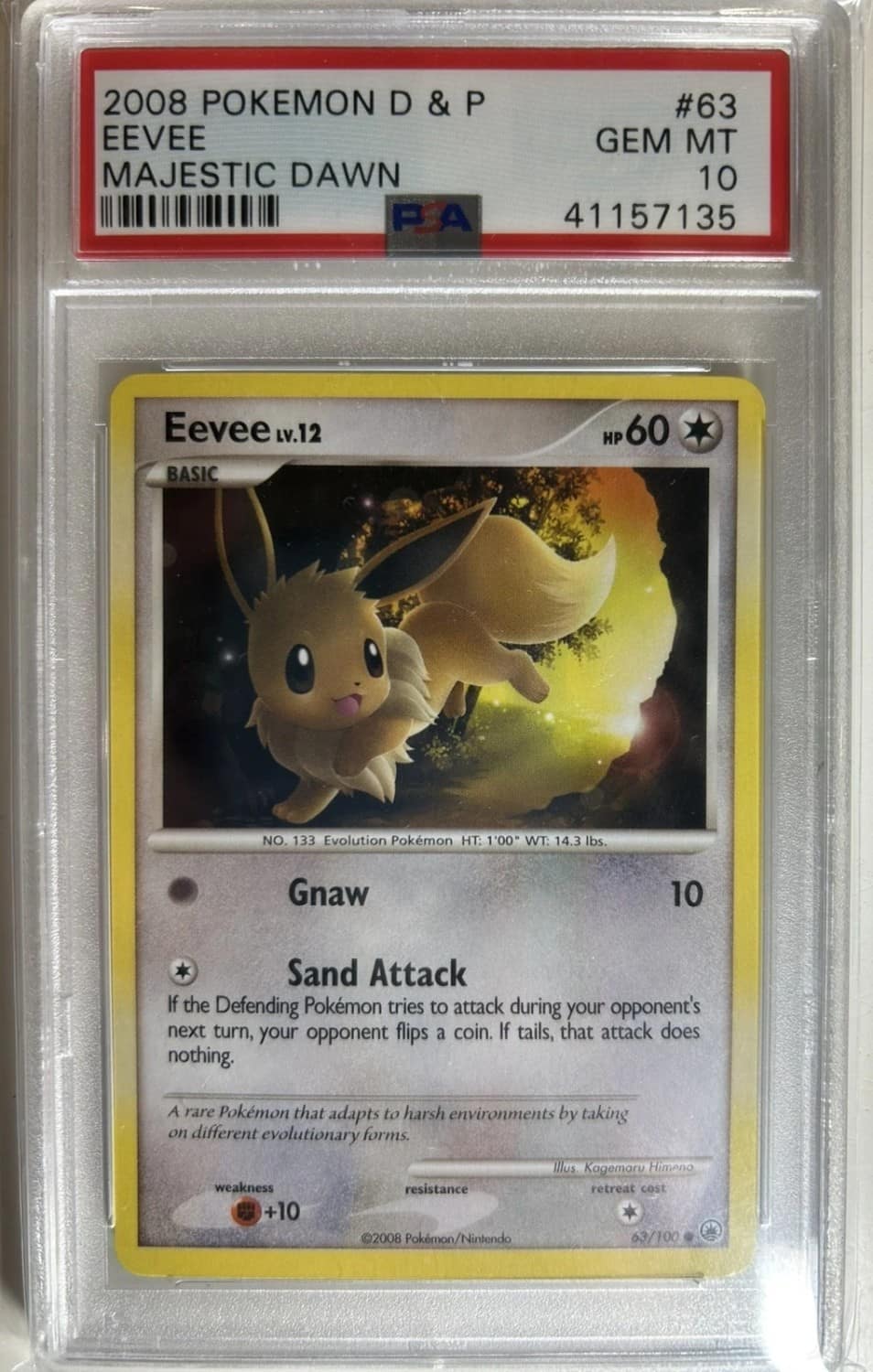 Eevee