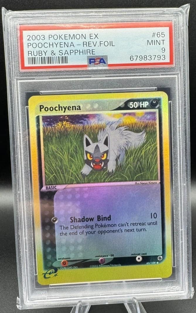 Poochyena
