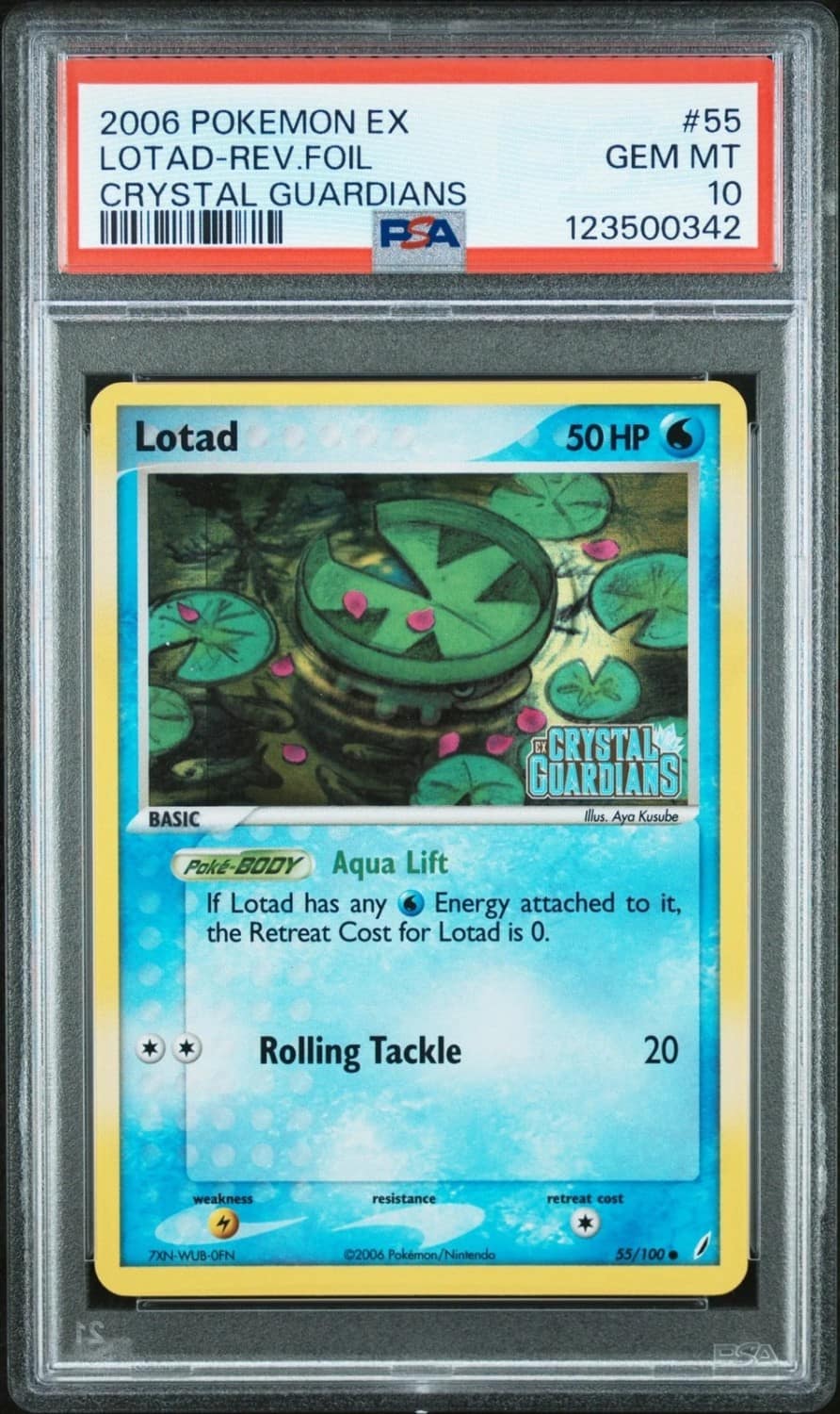 Lotad