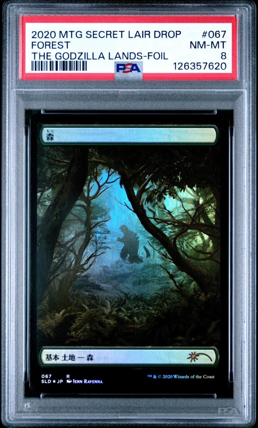 Forest