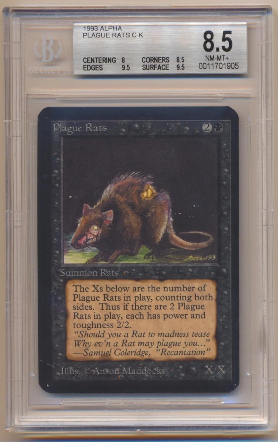 Plague Rats C :k: